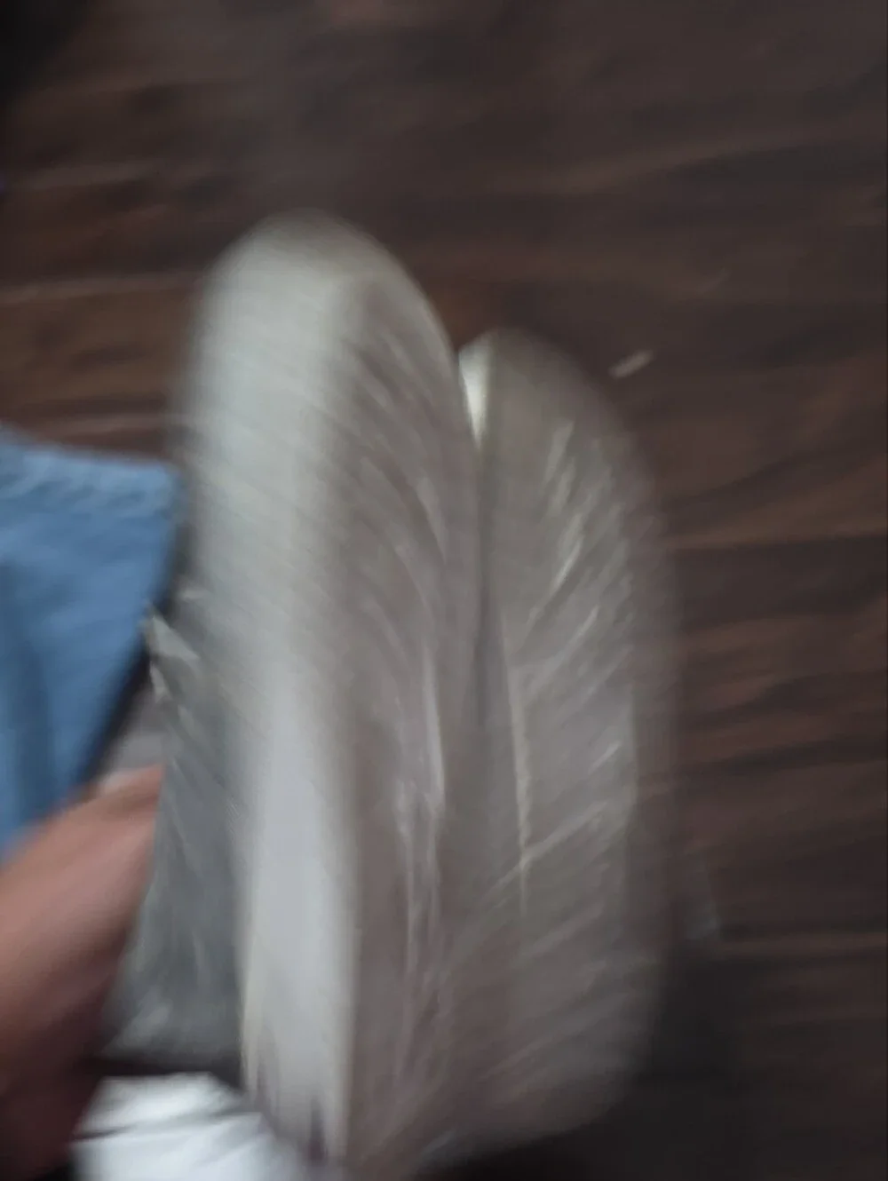 Hey Dude light blue